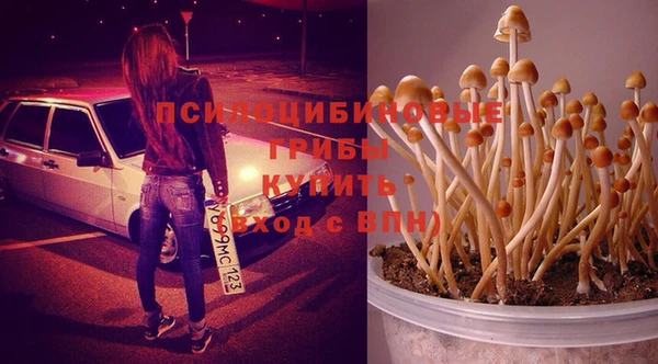 бошки Волоколамск