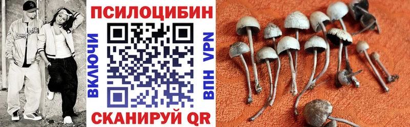 Галлюциногенные грибы прущие грибы  Кочубеевское 
